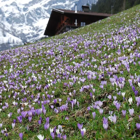 Appartamento Stachlerhof Matrei in Osttirol